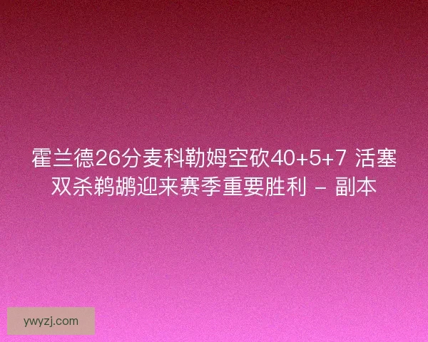 霍兰德26分麦科勒姆空砍40+5+7 活塞双杀鹈鹕迎来赛季重要胜利 - 副本