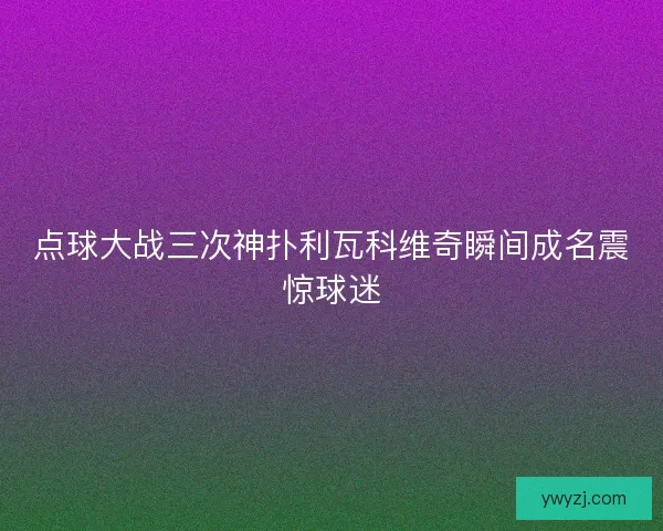 点球大战三次神扑利瓦科维奇瞬间成名震惊球迷